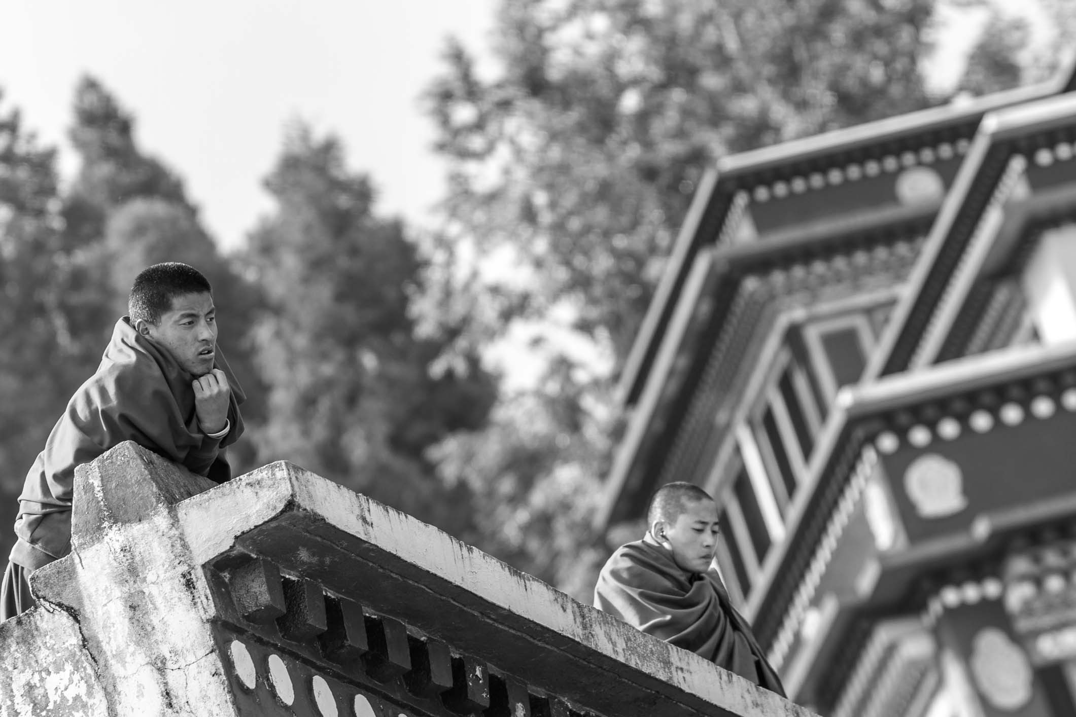 /Guewen/galeries/public/Voyages/Inde/sikkim/rumtek/portraits-3/Rumtek_166.jpg