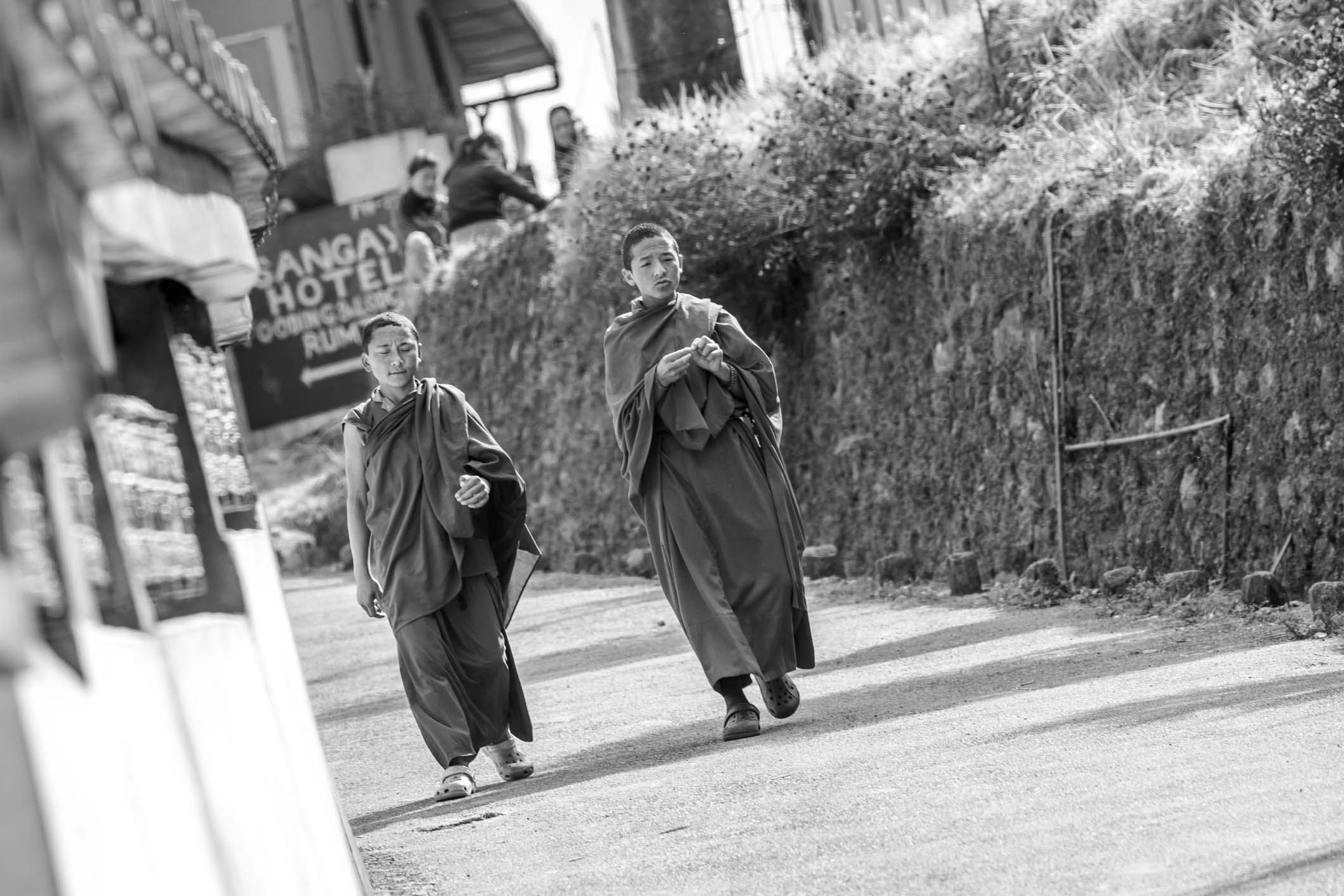 /Guewen/galeries/public/Voyages/Inde/sikkim/rumtek/portraits-3/Rumtek_181.jpg