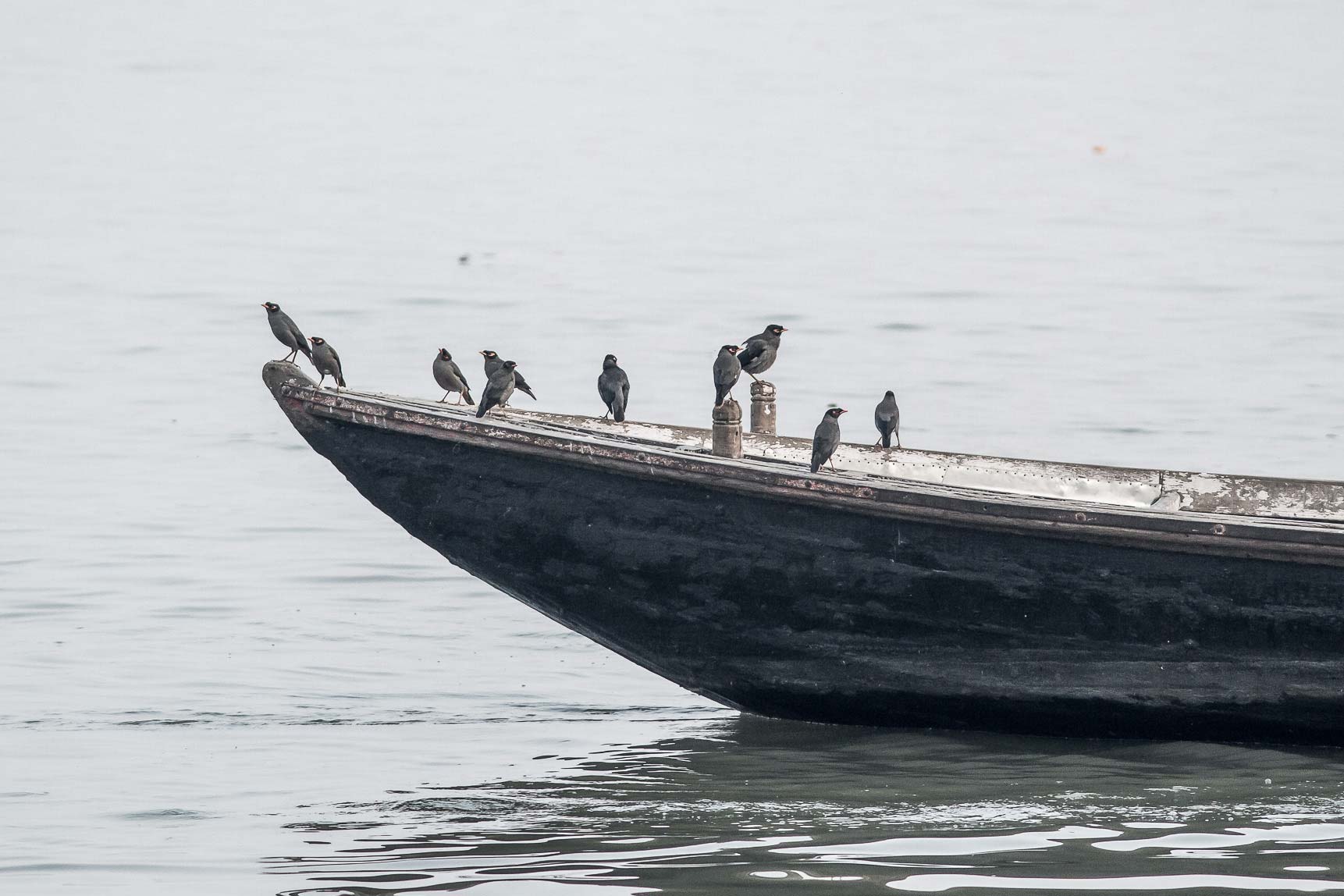 /Guewen/galeries/public/Voyages/Inde/varanasi/gange/Ganga-2/Varanasi-gange_104.jpg
