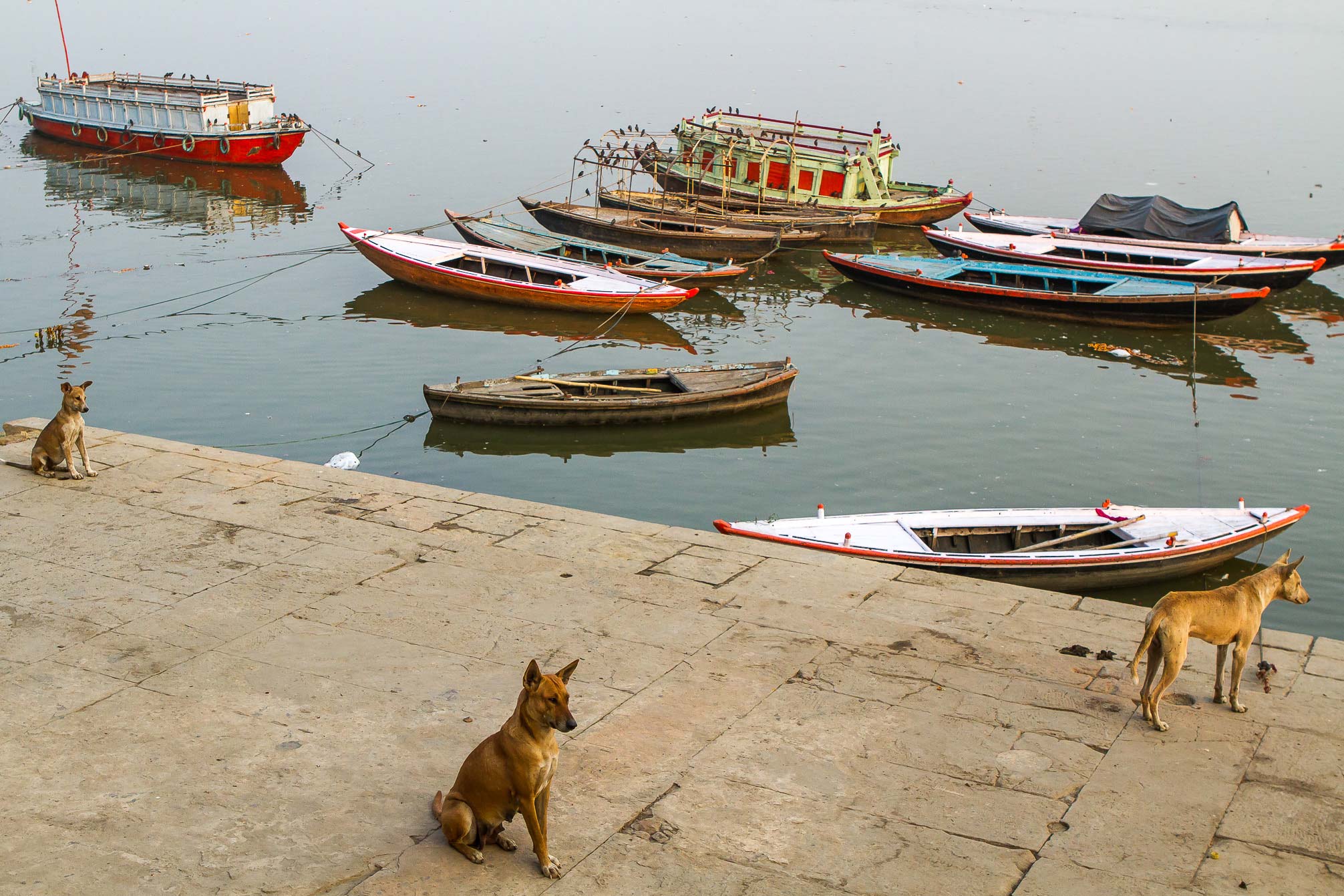 /Guewen/galeries/public/Voyages/Inde/varanasi/gath/gath-2/Varanasi-gath_143.jpg
