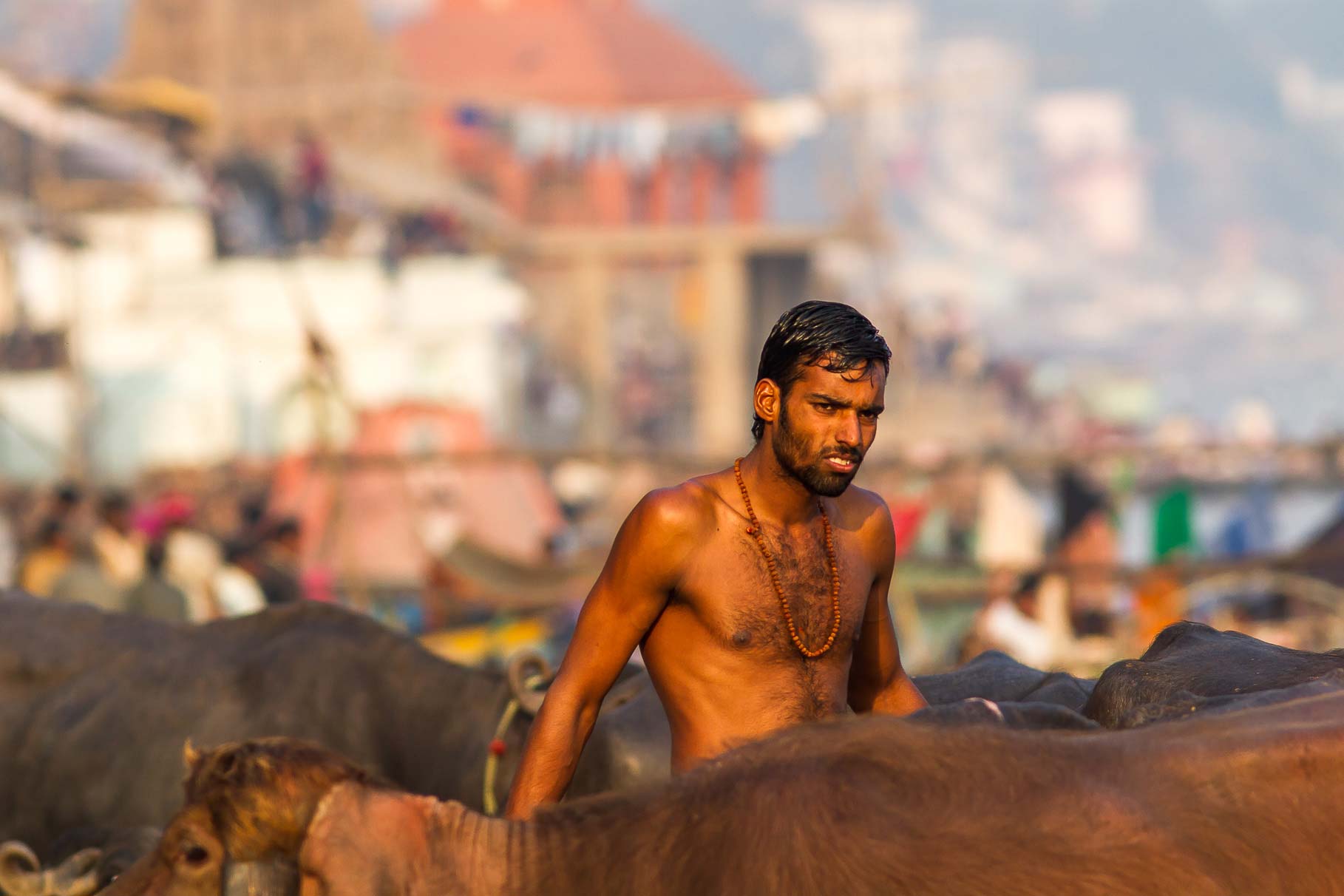 /Guewen/galeries/public/Voyages/Inde/varanasi/gath/gath-3/Varanasi-gath_203.jpg