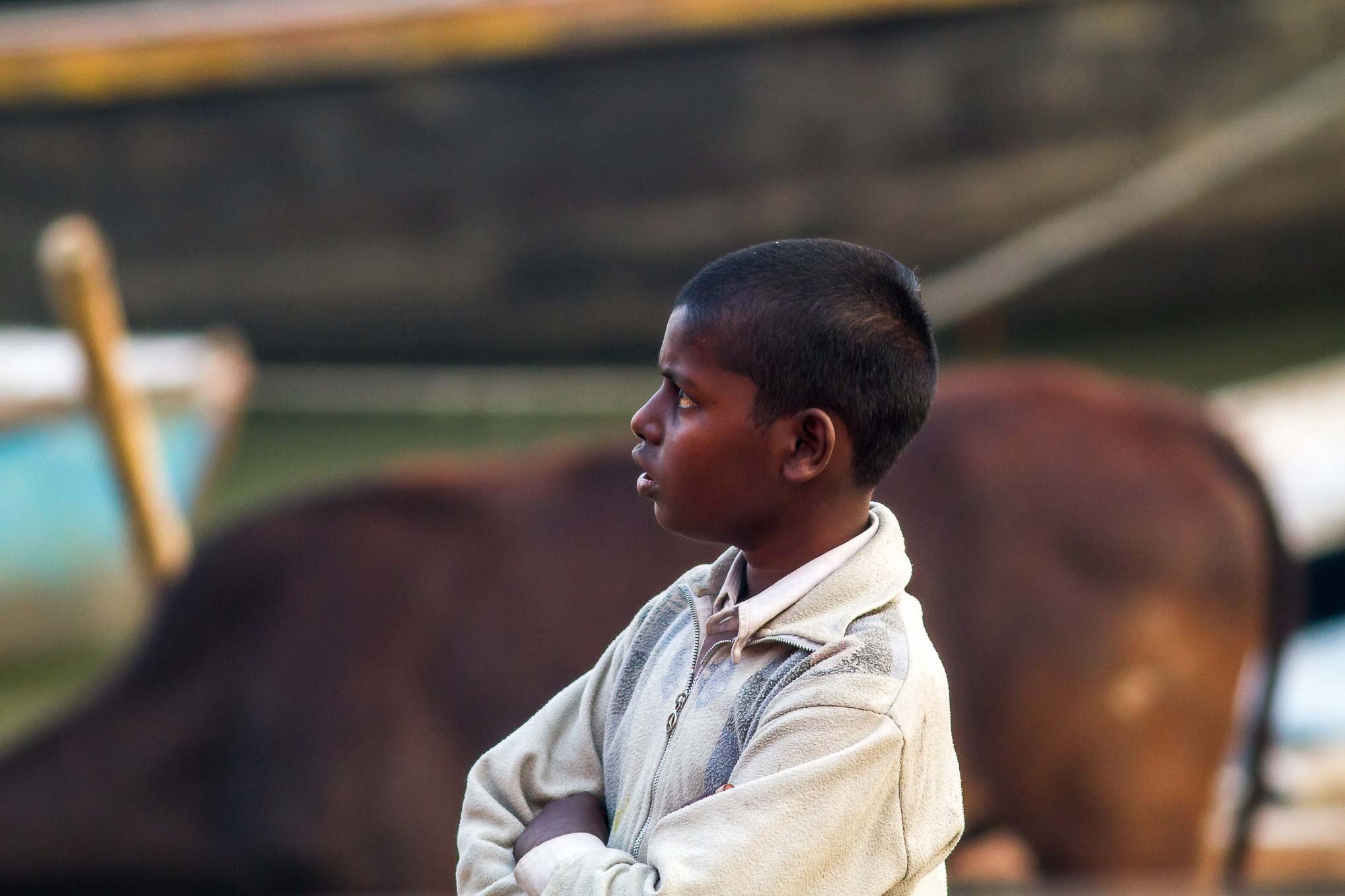 /Guewen/galeries/public/Voyages/Inde/varanasi/gath/gath-3/Varanasi-gath_210.jpg