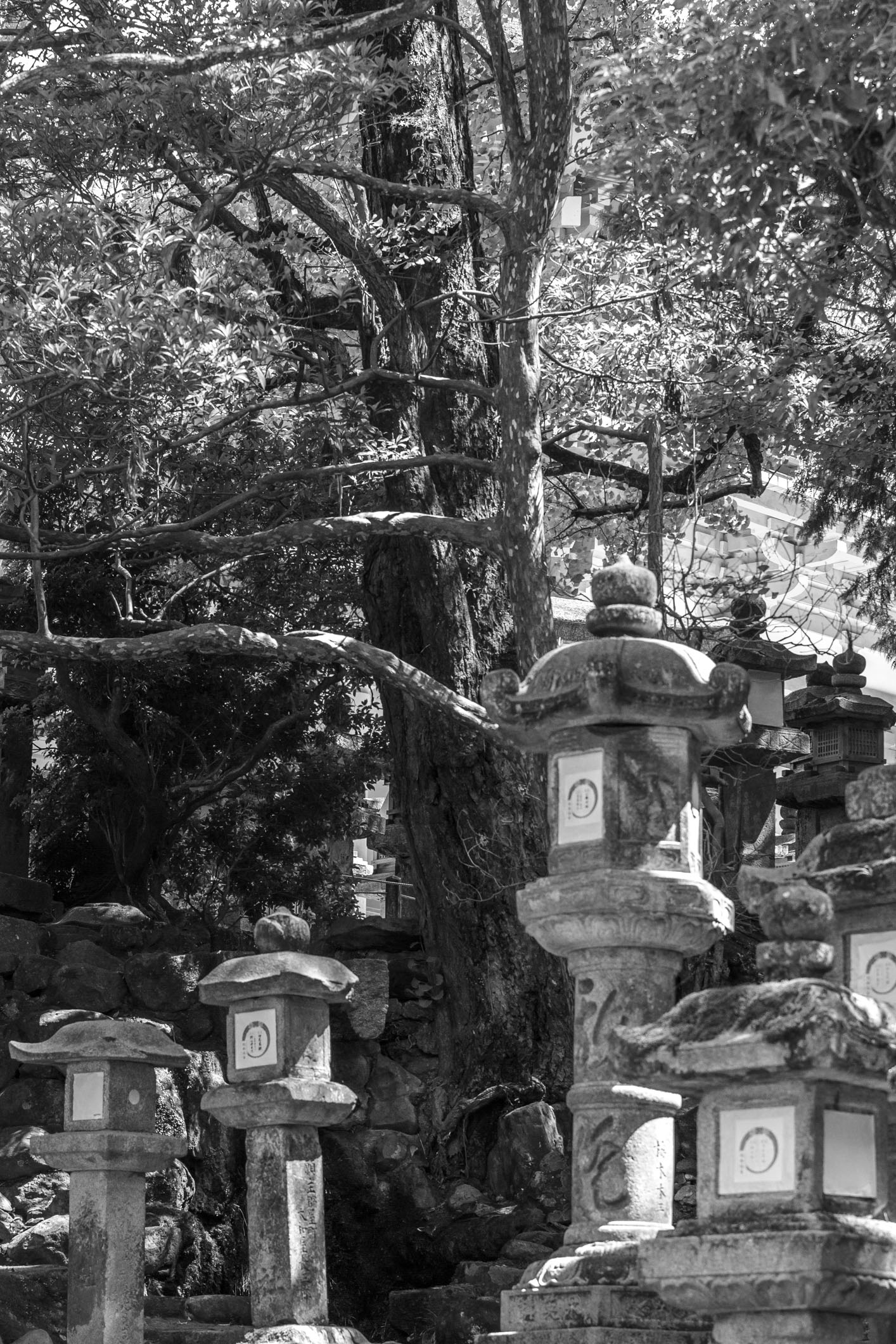 /Guewen/galeries/public/Voyages/Japon/Nara/Temple-Shinto/Nara_002.jpg