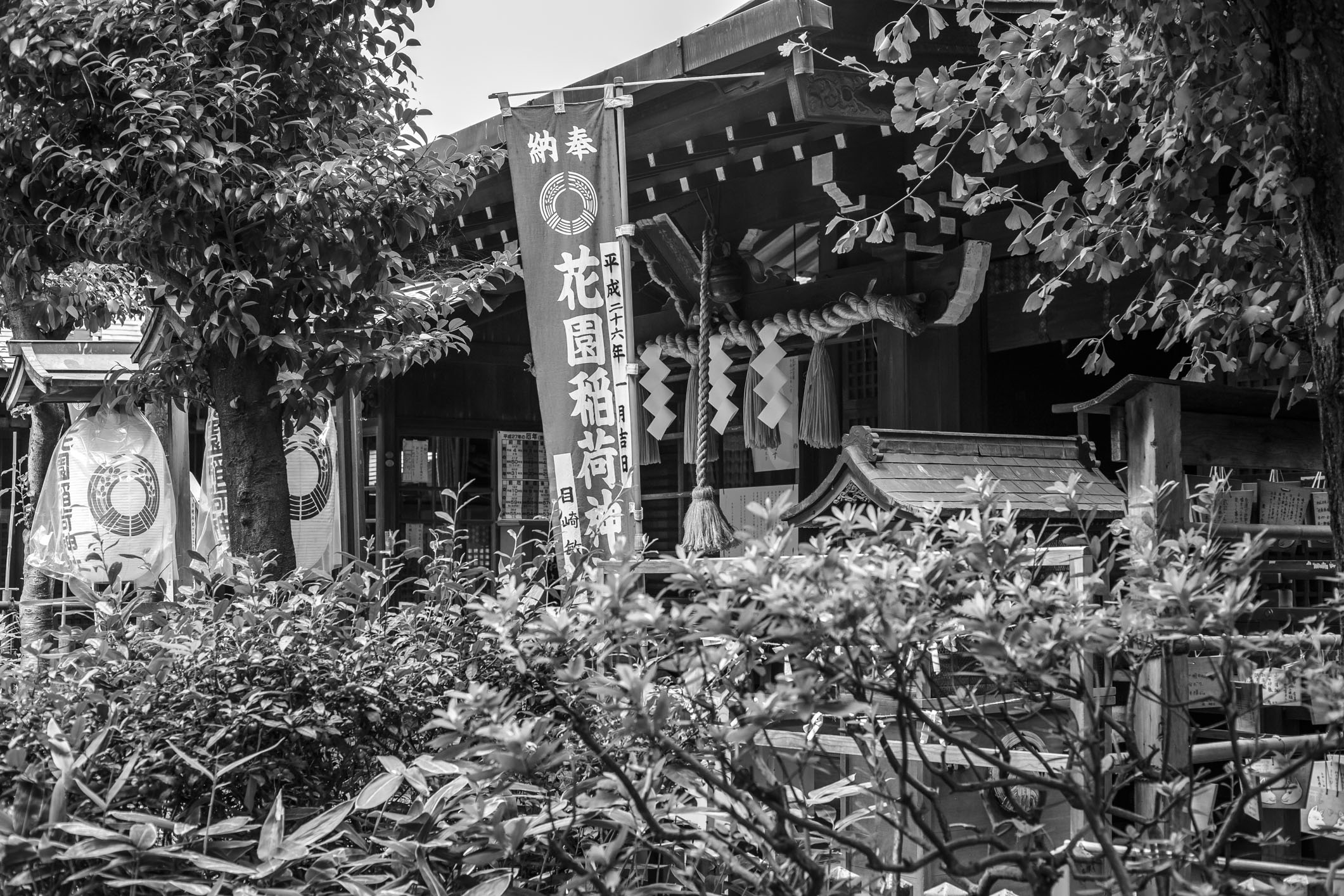 /Guewen/galeries/public/Voyages/Japon/Tokyo/Ueno/park/Ueno_041.jpg