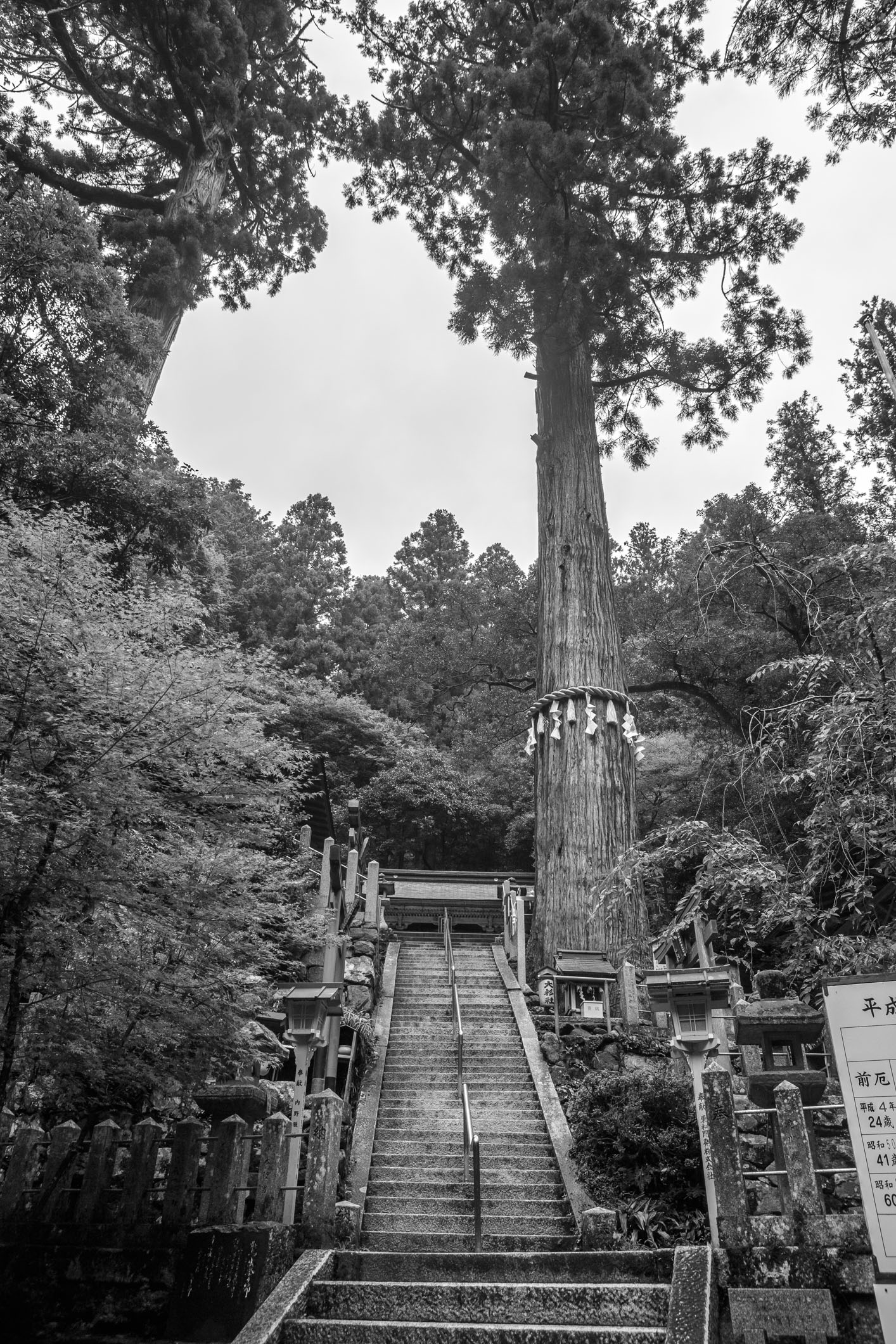 /Guewen/galeries/public/Voyages/Japon/kyoto/Kurama/Kurama_023.jpg
