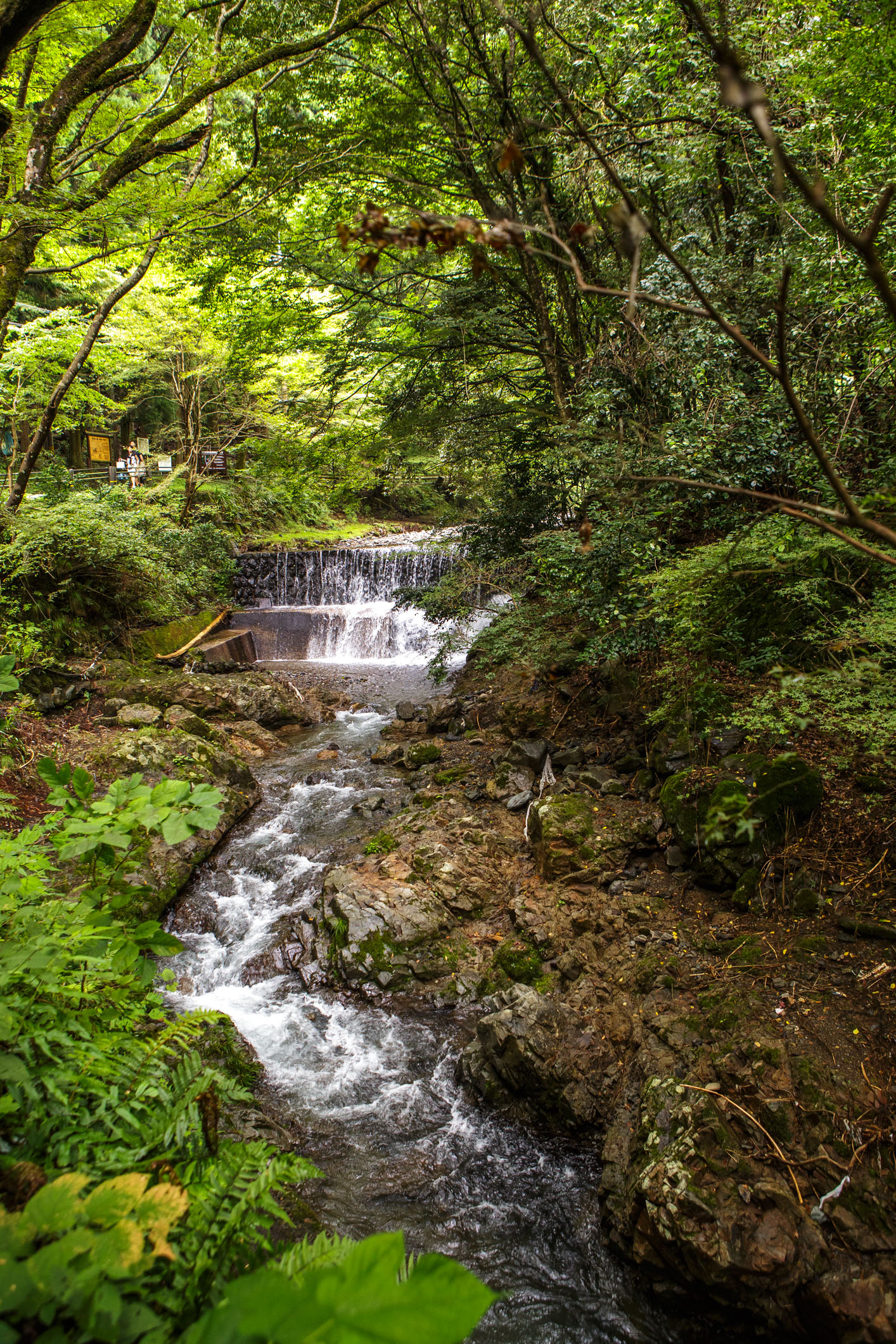 /Guewen/galeries/public/Voyages/Japon/kyoto/Kurama/Kurama_048.jpg