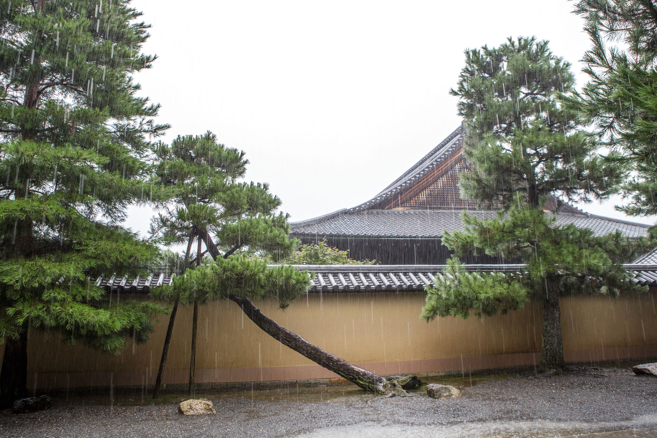 /Guewen/galeries/public/Voyages/Japon/kyoto/Ryoanji-Temple/Ryoanji-Temple_023.jpg