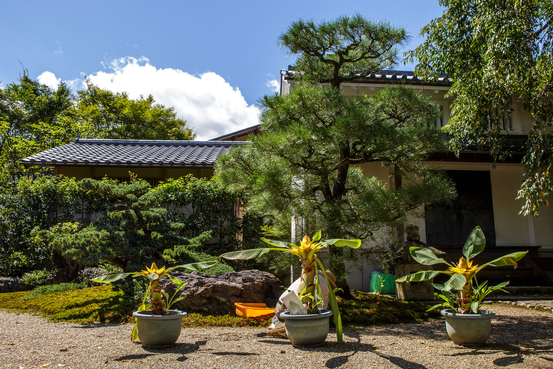 /Guewen/galeries/public/Voyages/Japon/kyoto/temples/Kyoto-temple_006.jpg