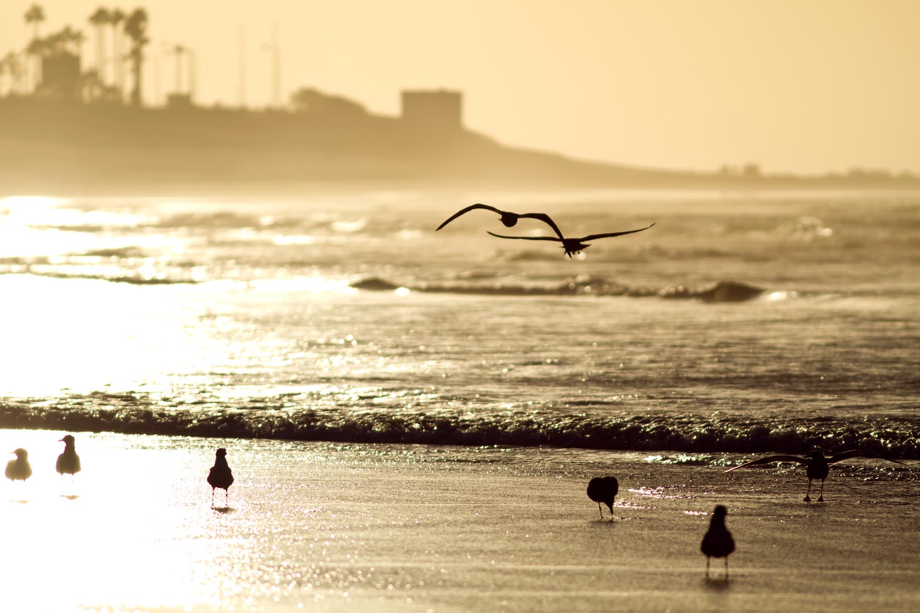 /Guewen/galeries/public/Voyages/Maroc/Casablanca/corniche_2010/La-corniche_019.jpg