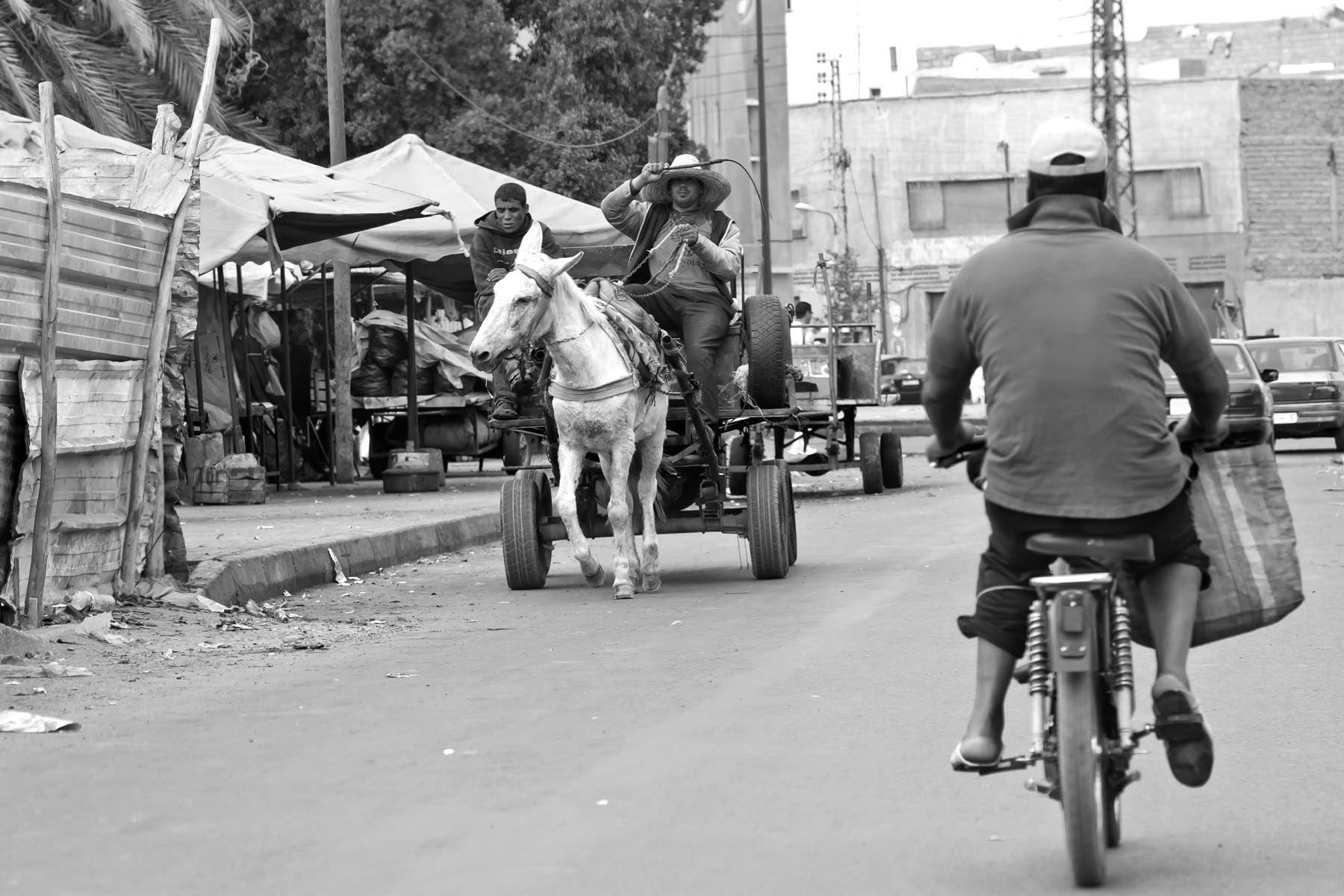 /Guewen/galeries/public/Voyages/Maroc/portraits/Marrakech/Portraits_aid_marrakech_069.jpg