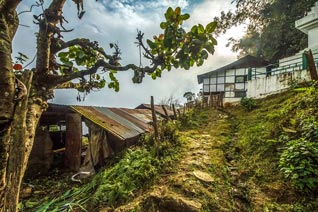 Inde, Sikkim, Monastère de Rumtek, Karmapa
