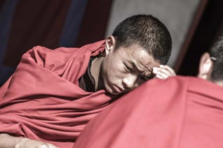 Inde, Sikkim, Monastère de Rumtek, Karmapa