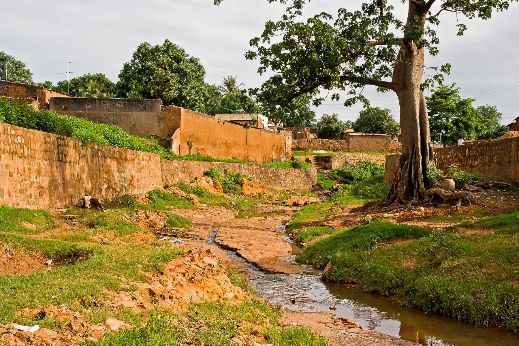 /Guewen/galeries/public/Voyages/Burkina_Faso/Bobo/Bobodioulasso_105.jpg