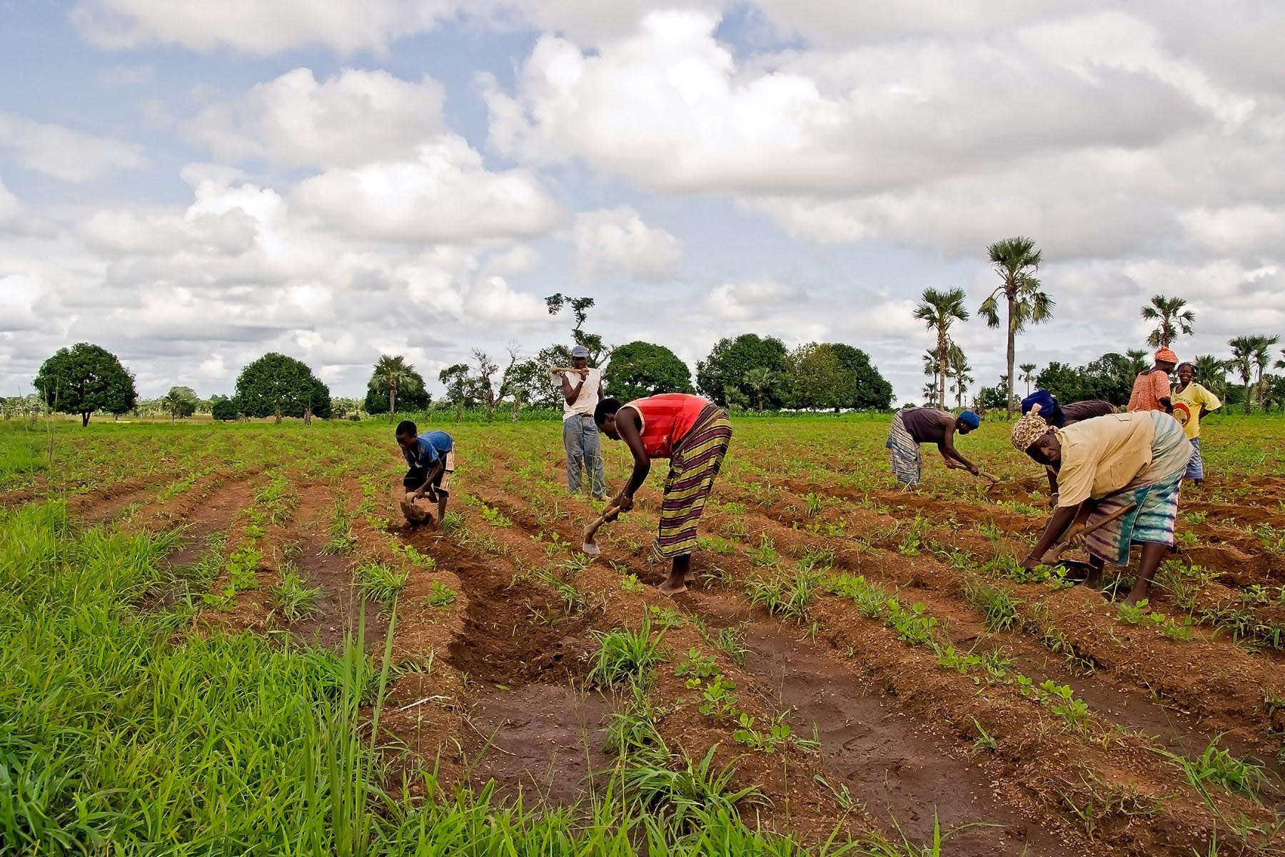 /Guewen/galeries/public/Voyages/Burkina_Faso/village_awa/village-awa_023.jpg