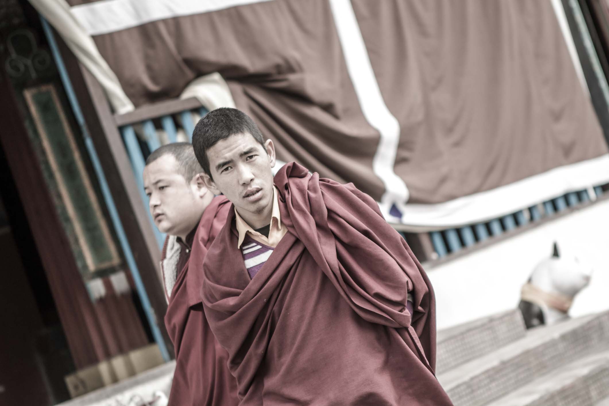 /Guewen/galeries/public/Voyages/Inde/sikkim/enchey/Enchey_026.jpg