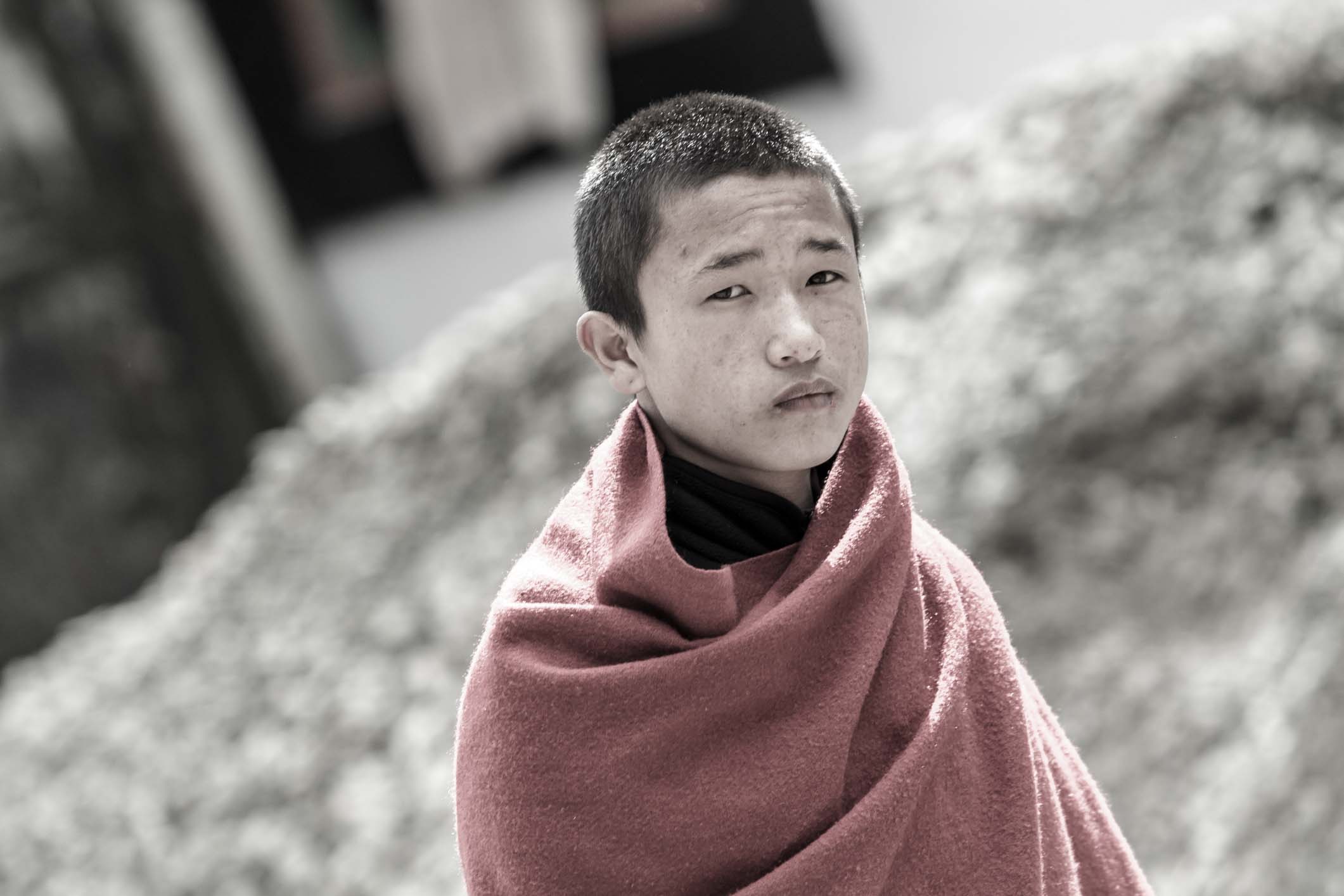 /Guewen/galeries/public/Voyages/Inde/sikkim/rumtek/portraits-1/Rumtek_064.jpg