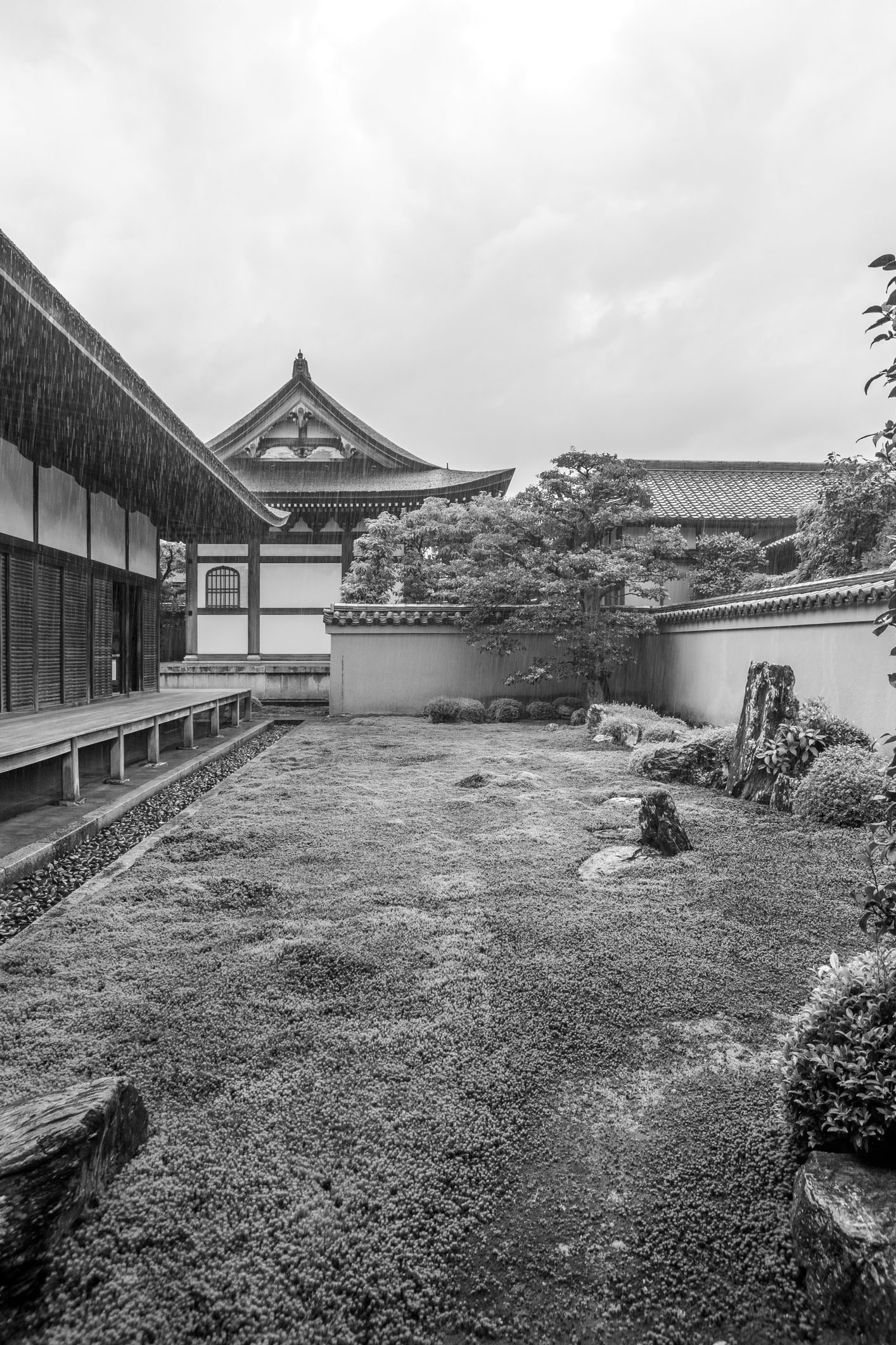 /Guewen/galeries/public/Voyages/Japon/kyoto/Ryoanji-Temple/Ryoanji-Temple_015.jpg