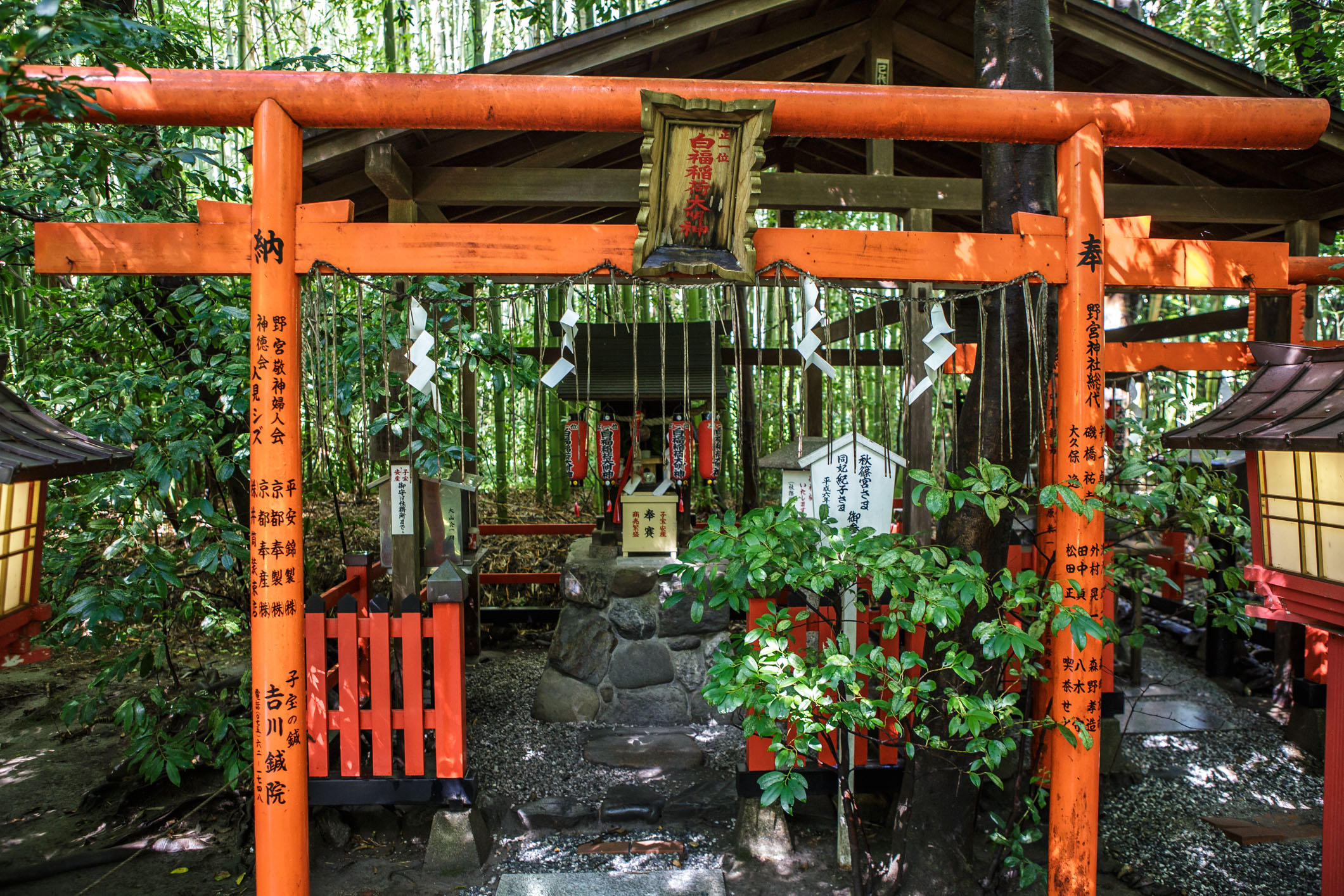 /Guewen/galeries/public/Voyages/Japon/kyoto/temples/Kyoto-Kitsune-temple_005.jpg