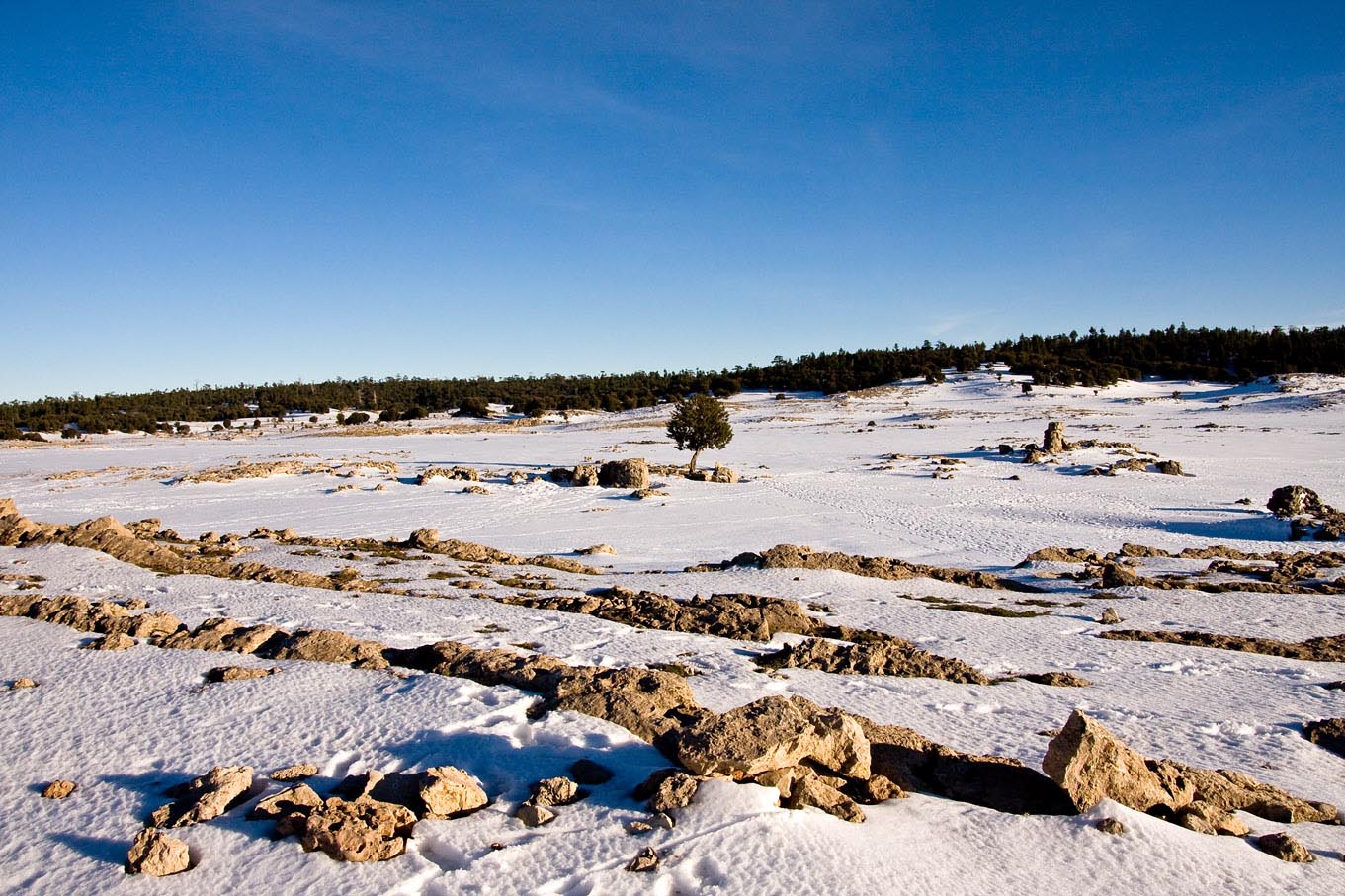 /Guewen/galeries/public/Voyages/Maroc/03_Michlifen_2009/Ifrane_Michlifen_007.jpg