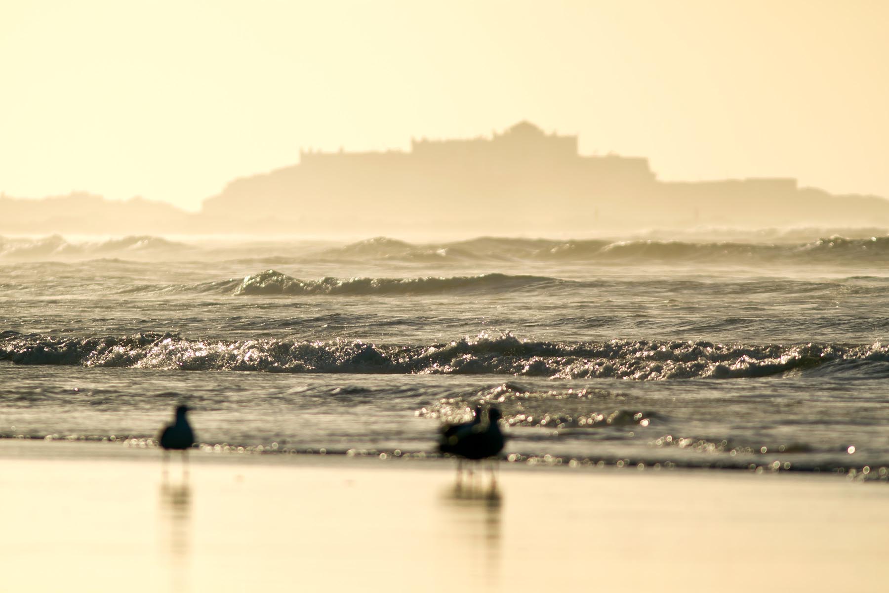 /Guewen/galeries/public/Voyages/Maroc/Casablanca/corniche_2010/La-corniche_020.jpg