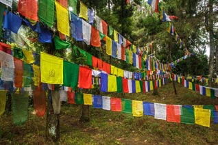 Inde, Sikkim, Monastère de Rumtek, Karmapa