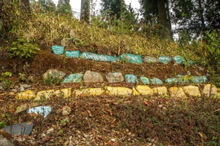 Inde, Sikkim, Monastère de Rumtek, Karmapa