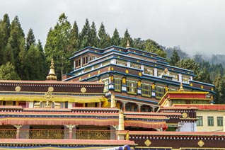 Inde, Sikkim, Monastère de Rumtek, Karmapa