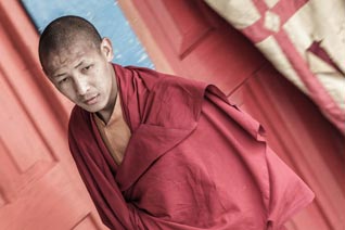 Inde, Sikkim, Monastère de Rumtek, Karmapa