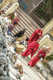 Inde, Sikkim, Monastère de Rumtek, Karmapa