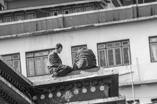 Inde, Sikkim, Monastère de Rumtek, Karmapa