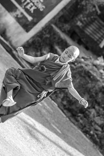 Inde, Sikkim, Monastère de Rumtek, Karmapa