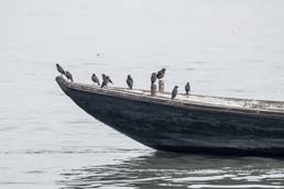 La vie sur le Gange, Varanasi