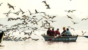 La vie sur le Gange, Varanasi
