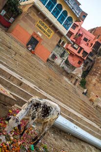 Sur les Gath, Inde, Varanasi