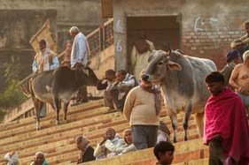 Sur les Gath, Inde, Varanasi