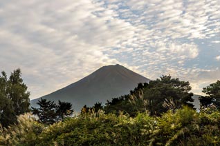 Fuji-san